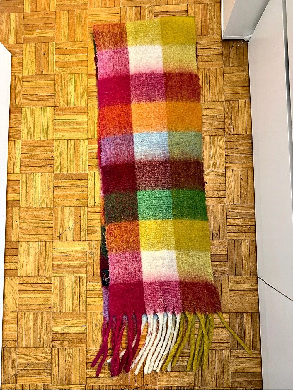 Di Firenz Plaid Multicolor Fringe Scarf